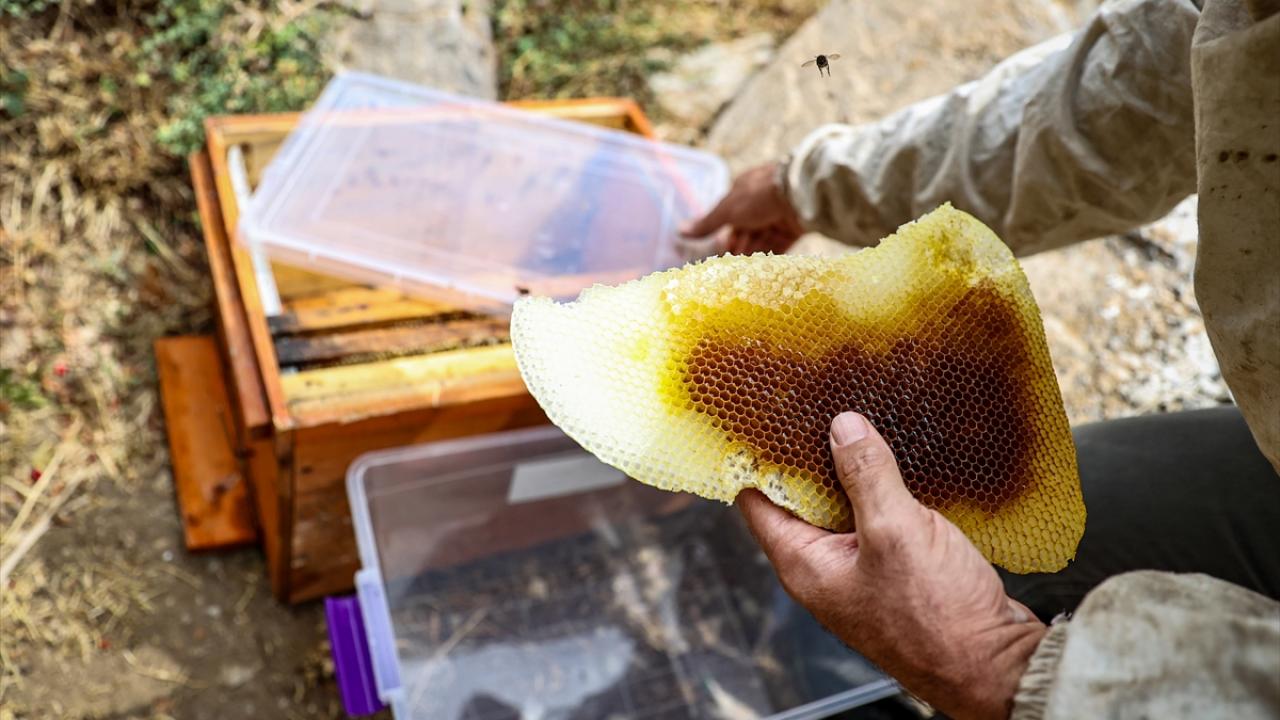 "Altın kadar değerli"