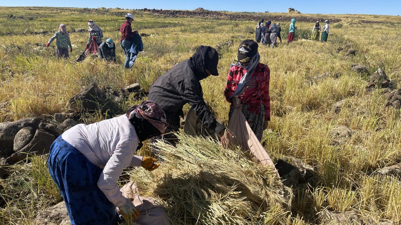 "Zoru gördüm başarılı oldum"