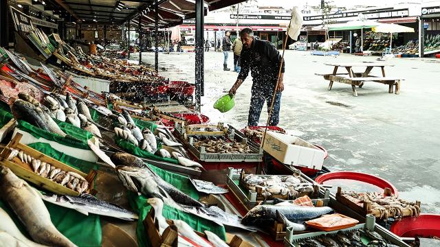 İstanbulda balık bereketi fiyatlara yansıdı