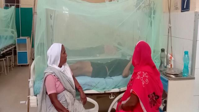 Pakistanda 2 bin 400ün üzerinde dang humması görüldü