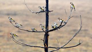 Kars sonbaharla birlikte güzelliğe büründü