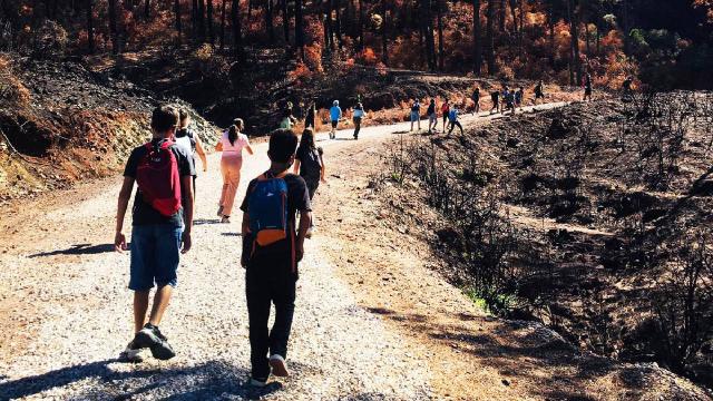 Marmariste öğrenciler ormanları korumaya yemin etti