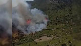 Burdur'da orman yangını