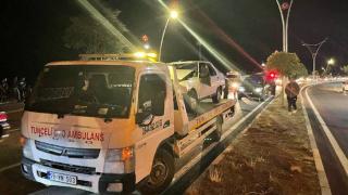 Domuz sürüsü zincirleme kazaya neden oldu