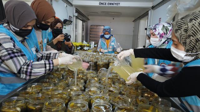 Ankarada yaşayan 30 genç kız Çubukta turşu yapımını öğrendi