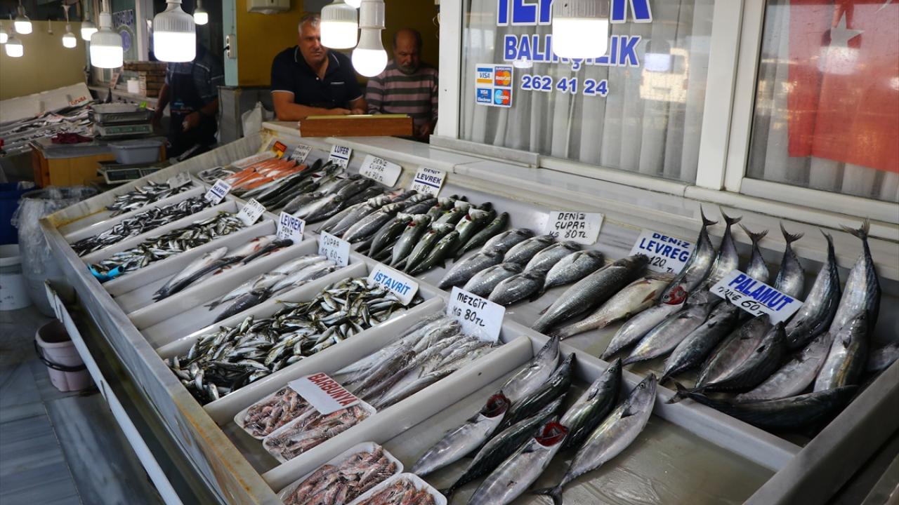 "Lüfer böyle devam edecek gibi"