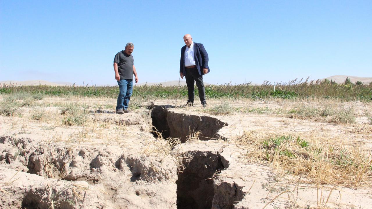 “İlk defa böyle bir şey görüyorum”