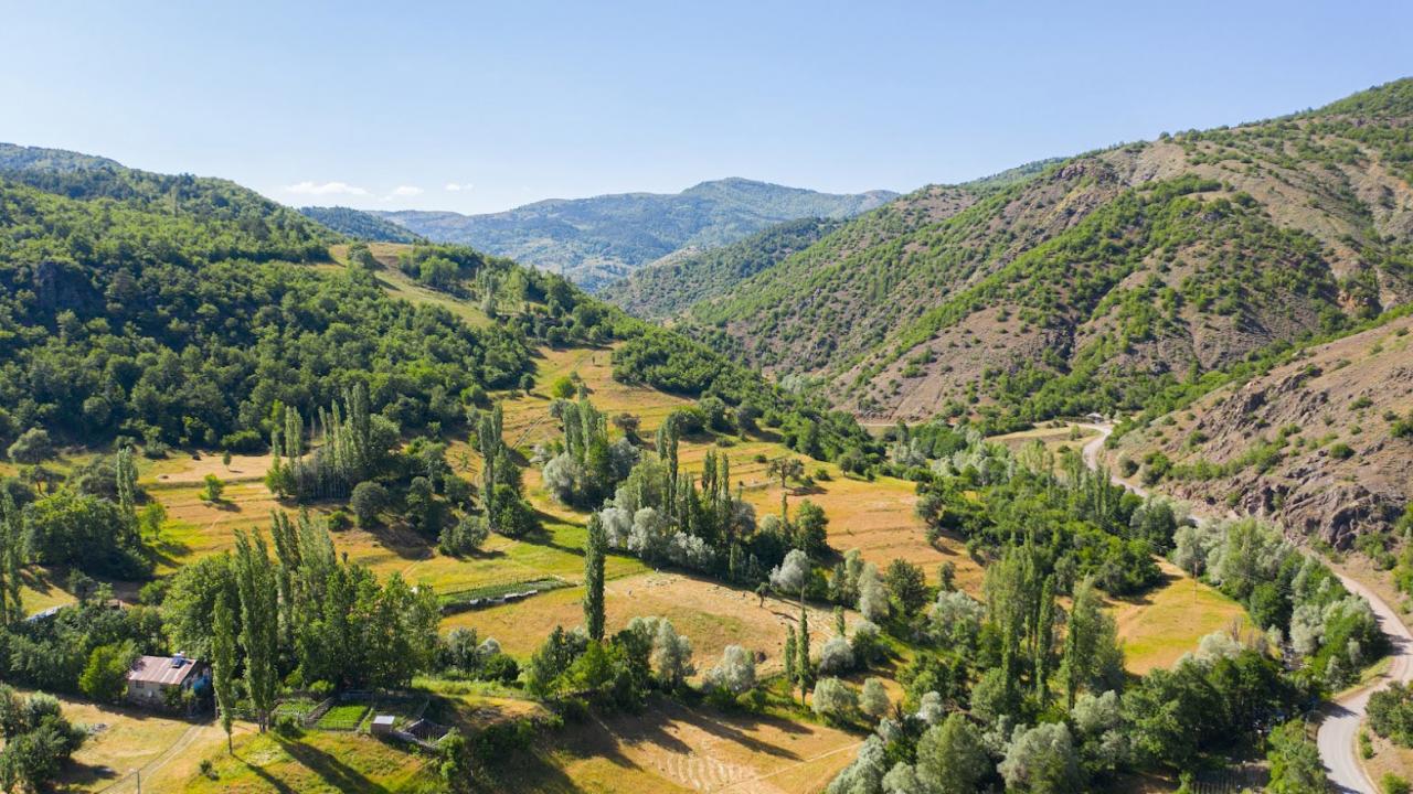"1 tona yakın bal alıyorum"