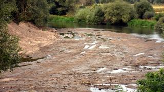 Tunca ve Meriç nehirlerinde korkutan kuraklık: Dip seviyede