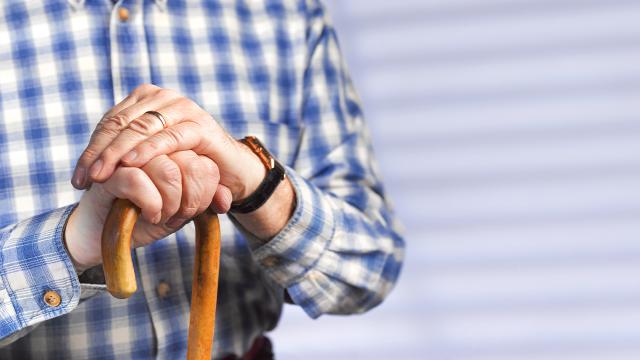 BM: 2050de yaşlılar dünya nüfusunun yüzde 22sini oluşturacak