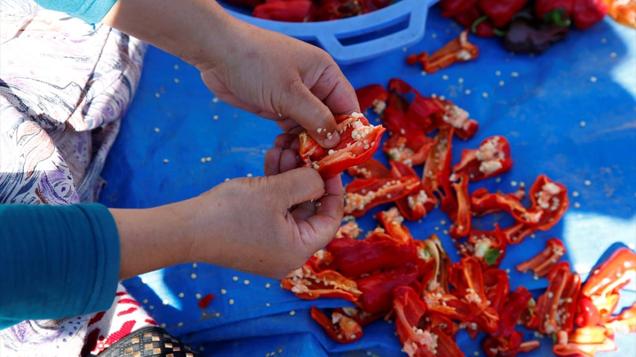 "Biberle çocuk gibi ilgileniriz"