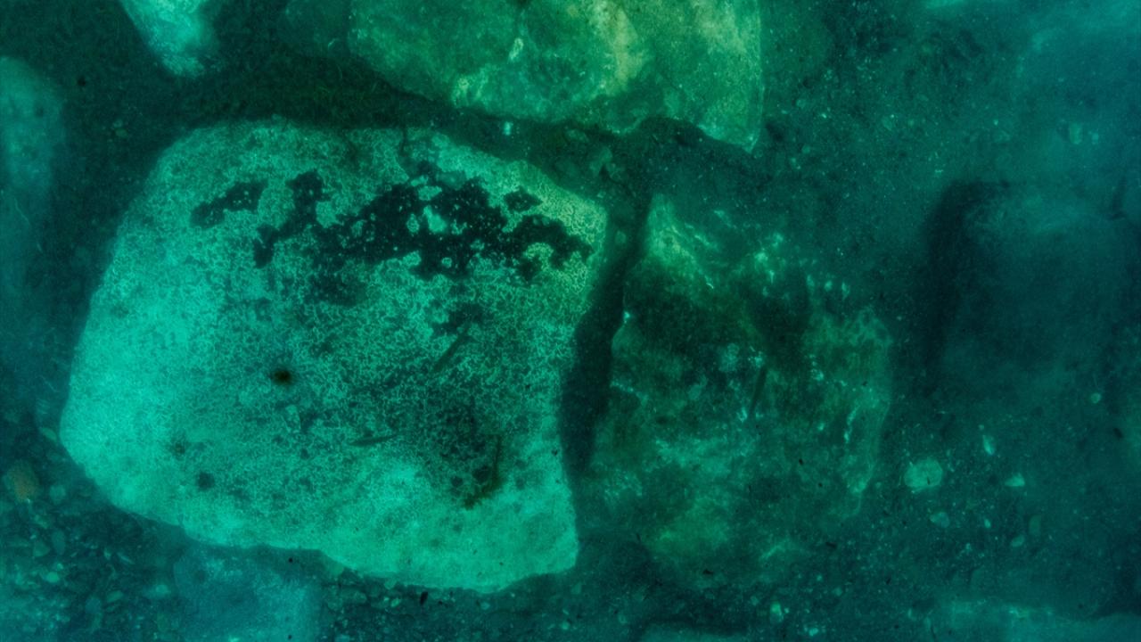 "Önümüzdeki senenin sonlarına doğru burada bir su altı müzesi göreceksiniz"