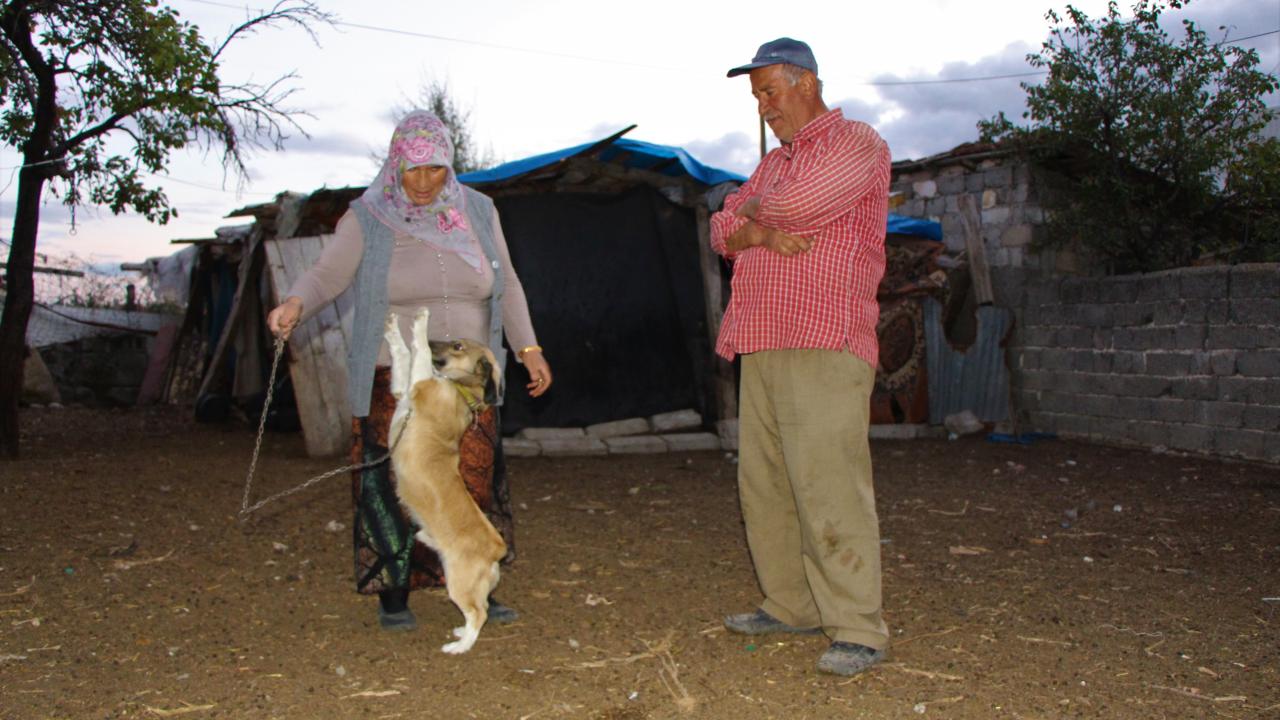 Olay sırasında ‘Roly’ isimli köpekleri havlayarak durumu sahiplerine duyurmaya çalıştı. 