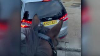 Yakıt kriziyle dalga geçti, istasyona atla geldi