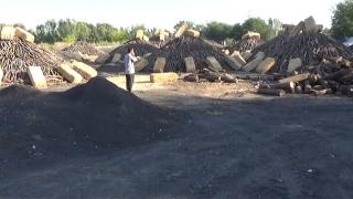 Meşe odununun kömüre dönüşme yolculuğu