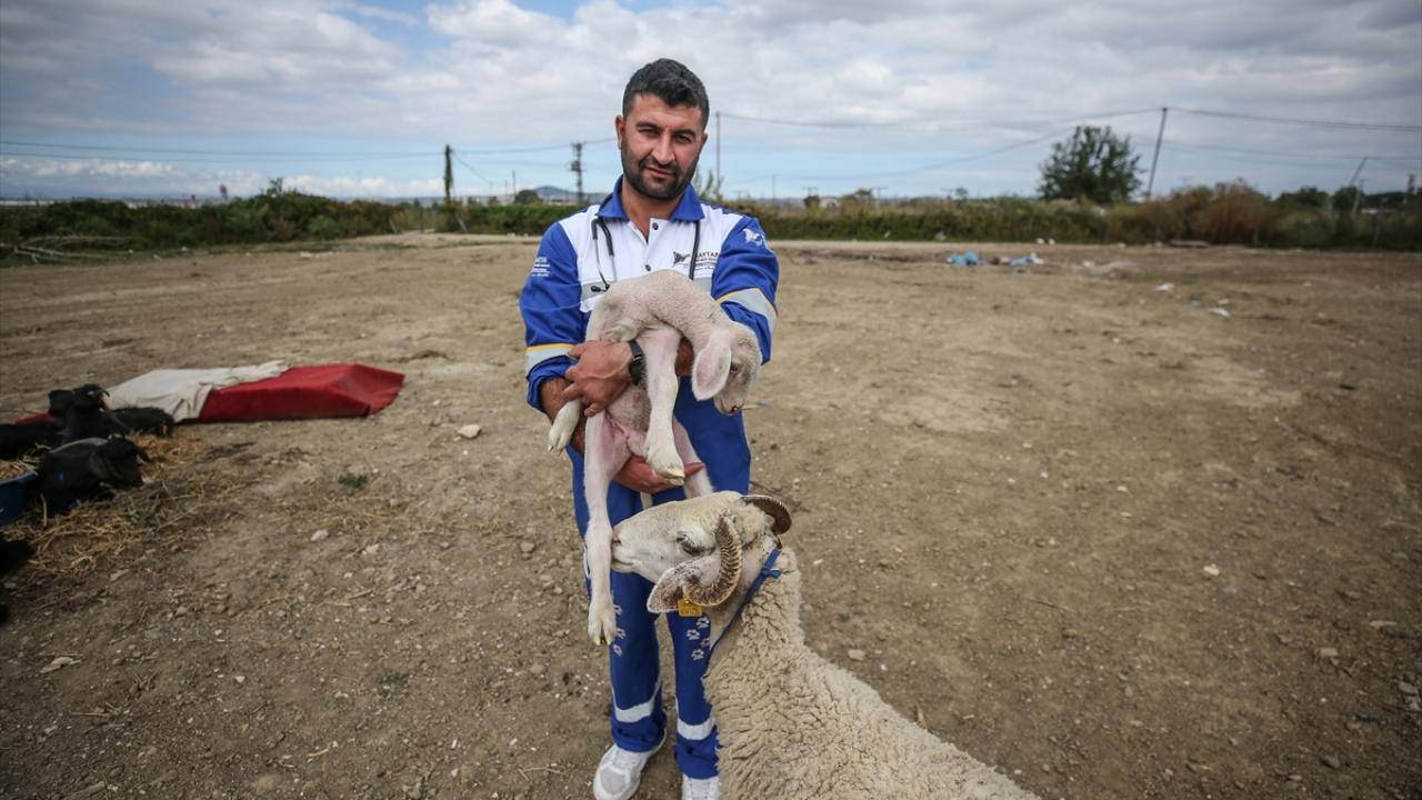 "İnşallah ismi gibi dünyaya barış olur"