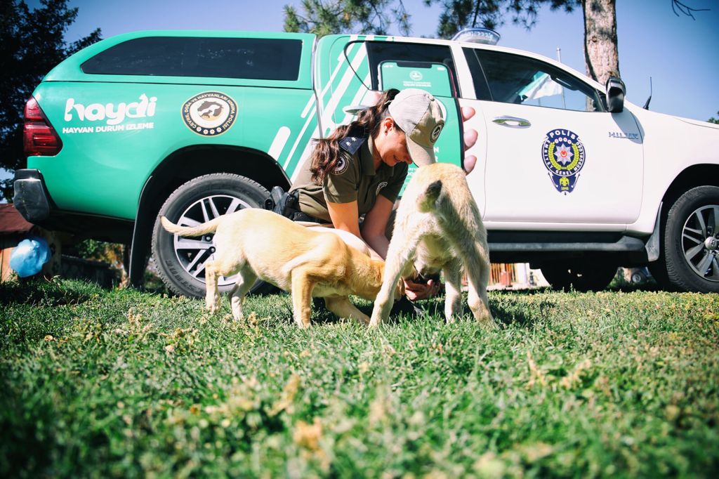 Sessiz dostlar 'HAYDİ'ye emanet