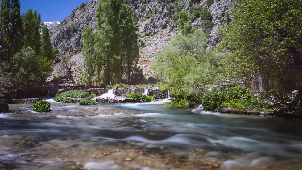 İlk bahar X İlkbahar ✓