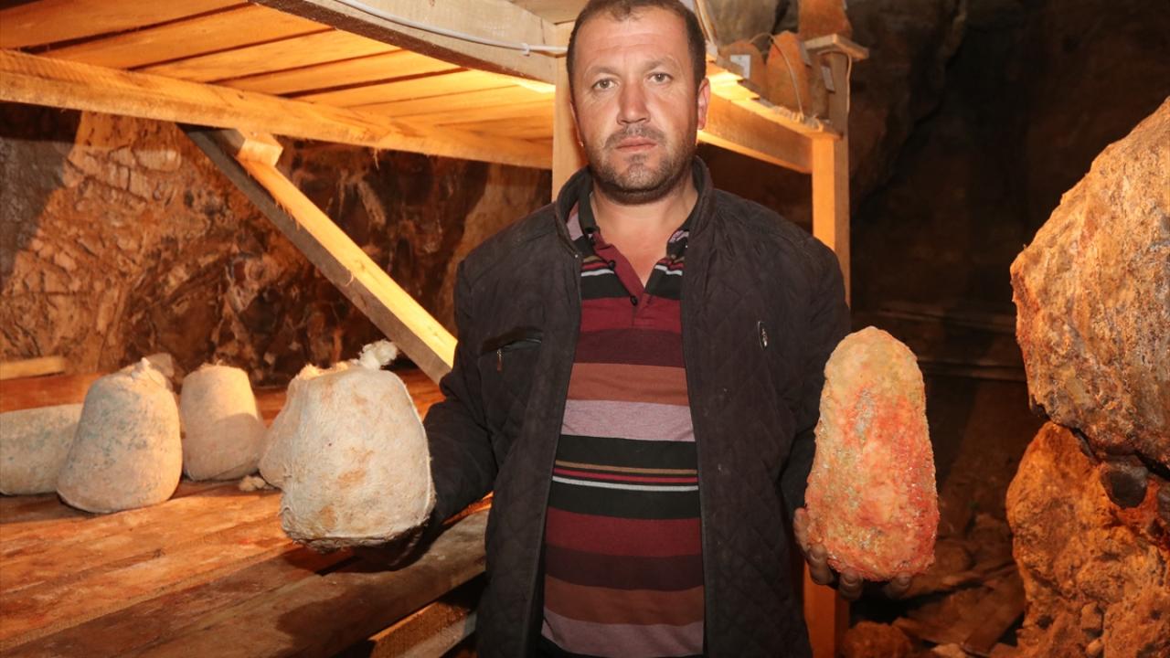 "Herkes bu peyniri tatsın, tavsiye ediyorum"