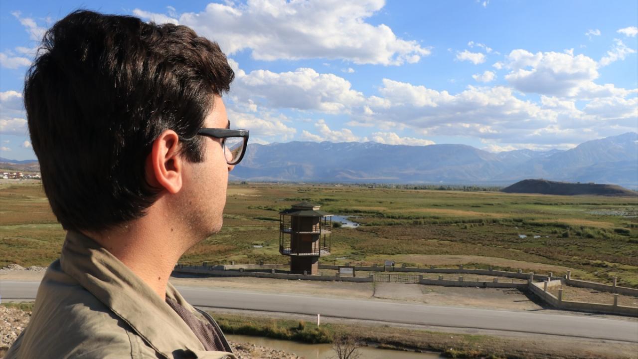 Sazlıktaki turnalar halkalanıp takibe alındı