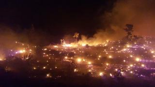 Muğla'da orman yangını