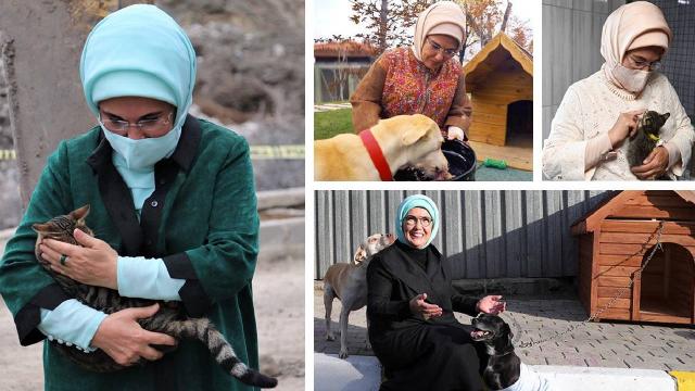 Emine Erdoğandan "Hayvanları Koruma Günü" paylaşımı