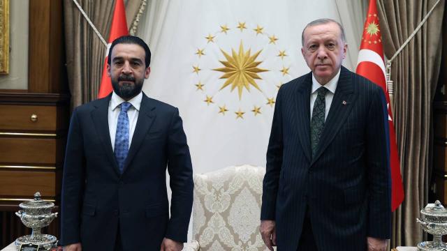 Cumhurbaşkanı Erdoğanın kabulleri
