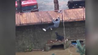 Mahsur kalan köpek için dereye indi