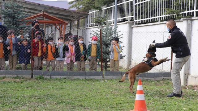 Narkotik köpeği `Sezar` öğrencilerin ilgi odağı oldu