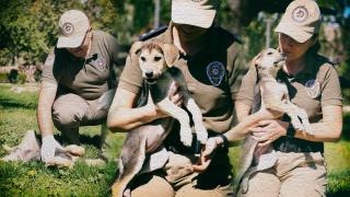 Sessiz dostlar 'HAYDİ'ye emanet