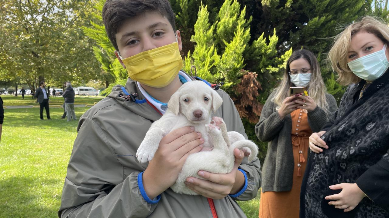 Samsun'da çocuklar `Pati Şenliği'nde` sokak hayvanlarıyla buluştu