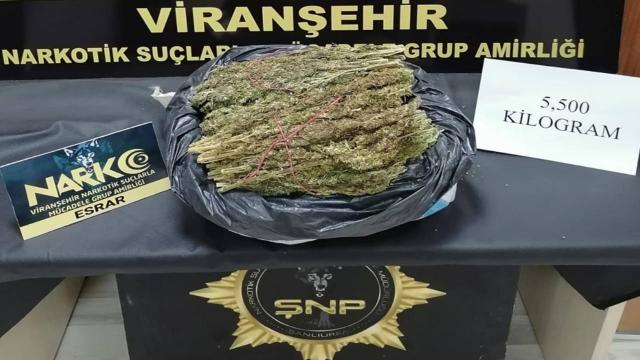 Şanlıurfada uyuşturucu operasyonu: 12 gözaltı