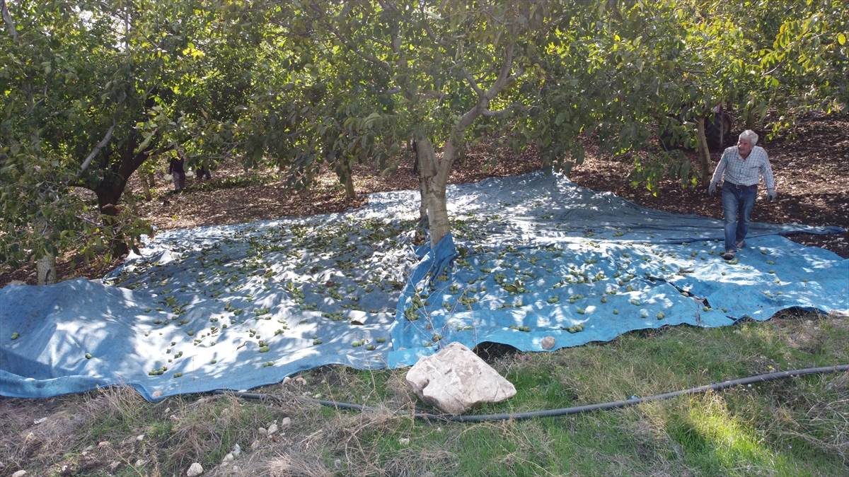 "Bu işi herkes yapabilir"