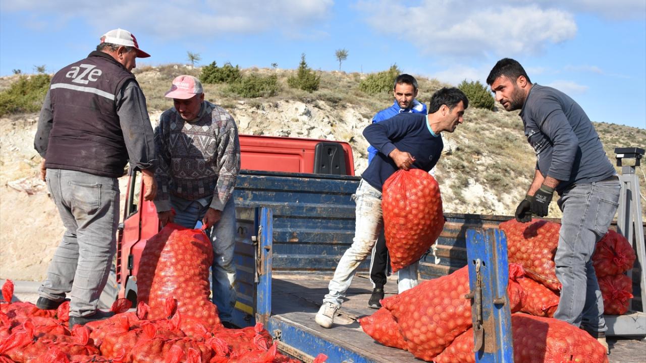 Ceviz kurutma tesisi ihtiyacı