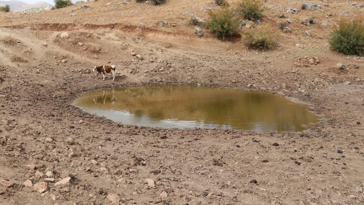 "Besiciler hayvanlarını farklı illere götürmek zorunda kaldı"
