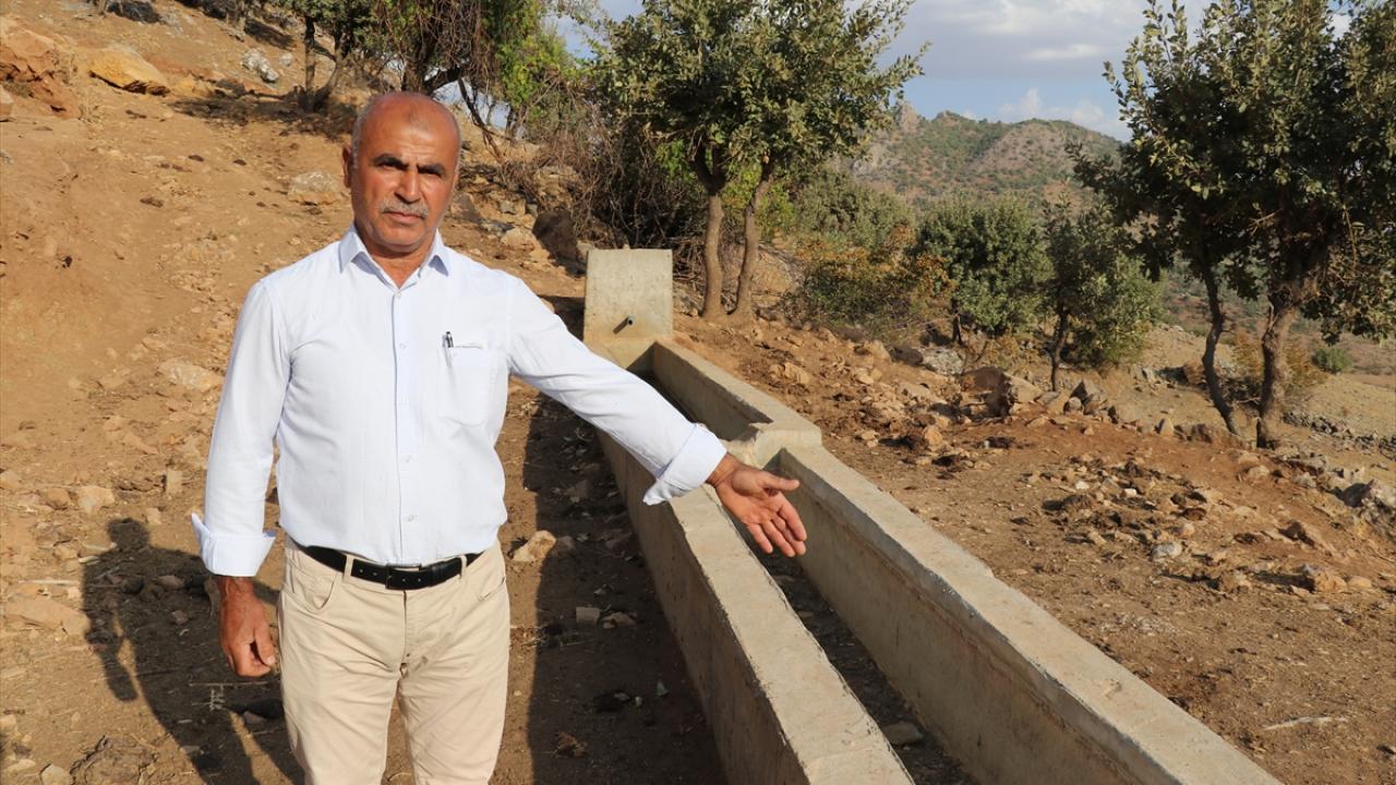 "Hayvanlar için su yalakları yapılmasını istiyoruz"