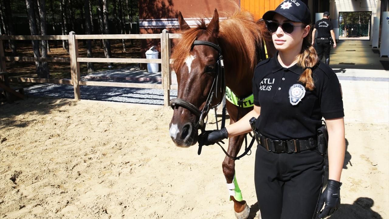 "Binicilik konusunda 4 ay eğitim alıp göreve başladık"