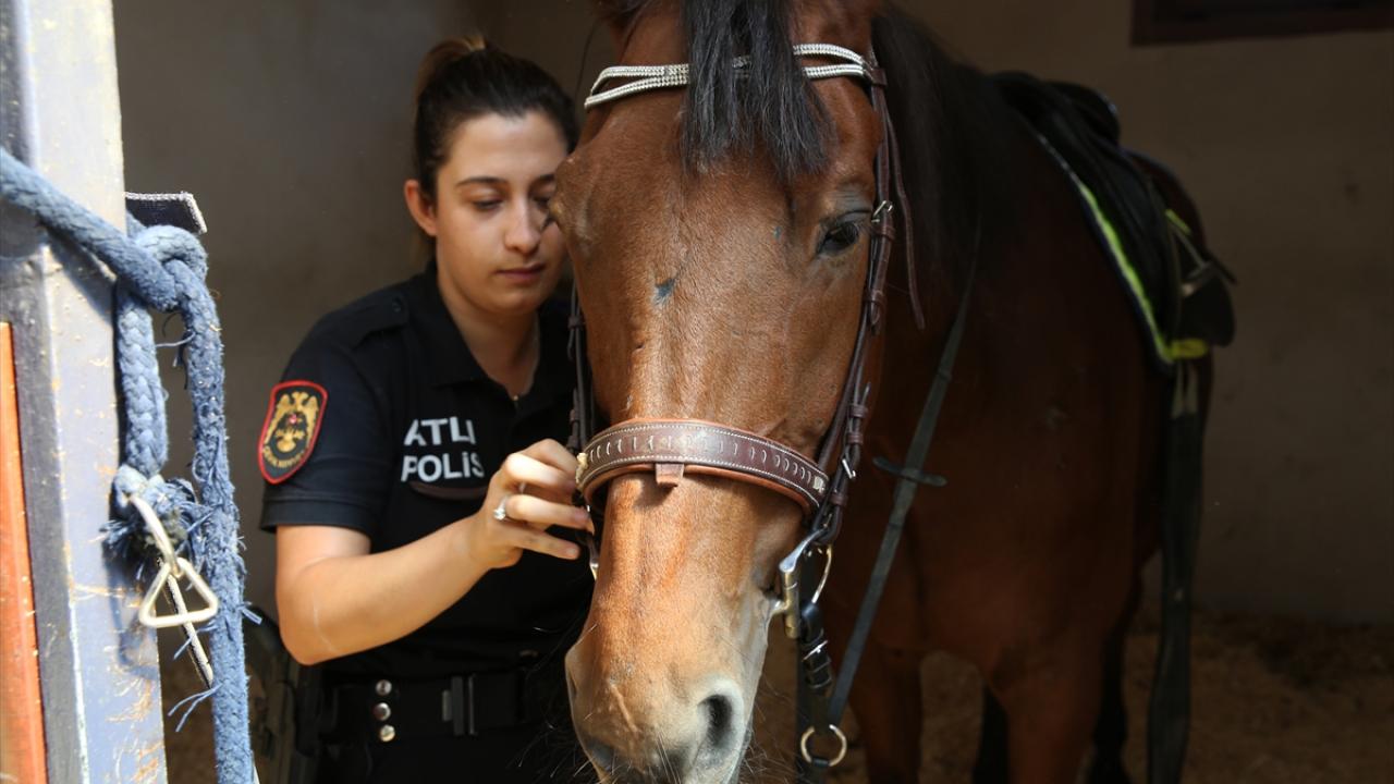 "Orman yangınlarından sonra görevlendirmemiz ormanlık alanlarda devam etti"