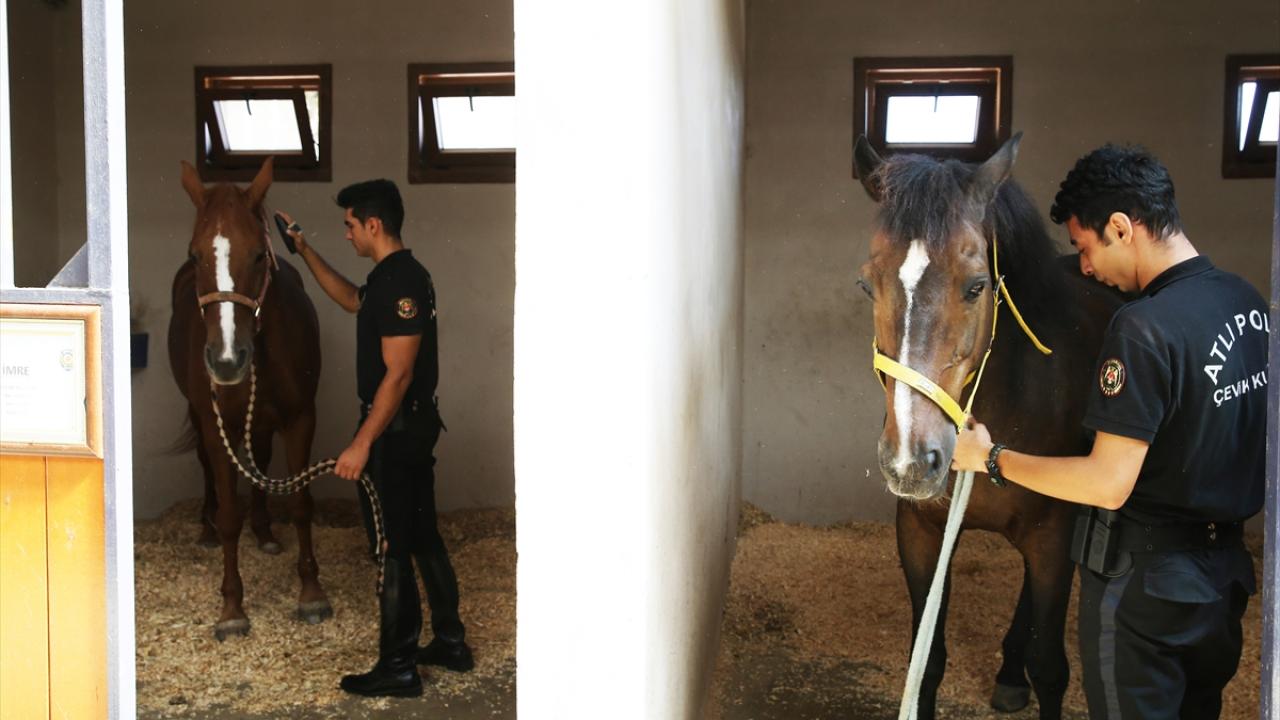 Covid-19 denetimlerinde ve ormanlık bölgelerin kontrolünde de görev yapıyorlar