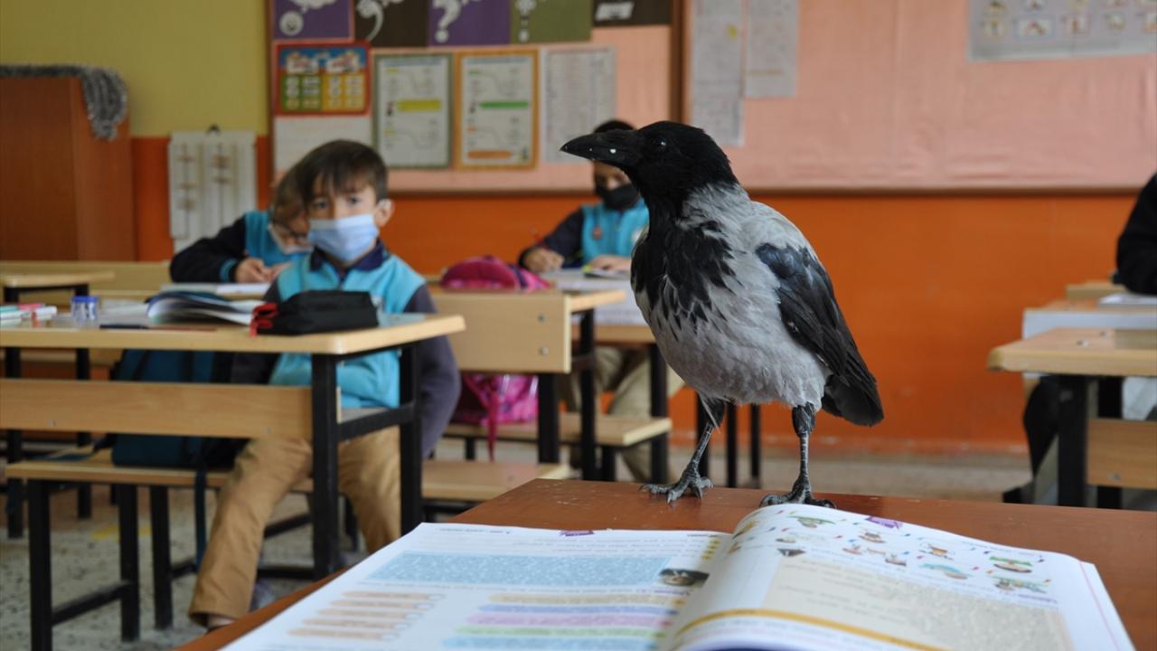 "Adını sisli bir havada bulduğum için `Duman` koydum"
