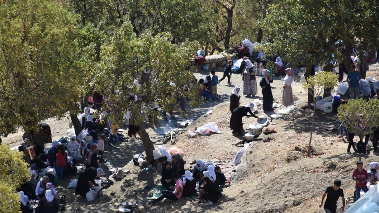 "Şırnaklılar buraya akın ediyor"