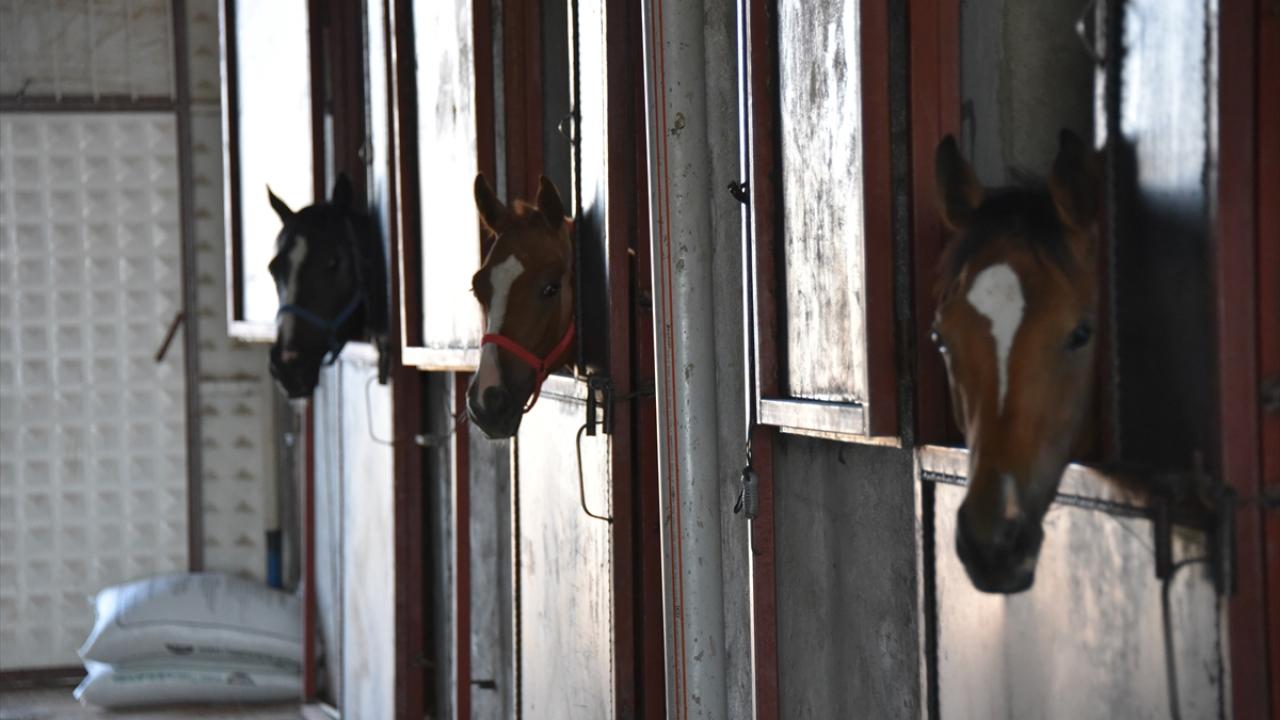 Şampiyon adayı 2 tay koşuya başlayacak