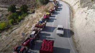 Büyükbelen'de ceviz bereketi tartı sırası oluşturuyor