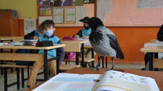 "Duman" iyilik meleğinin peşinden ayrılmıyor