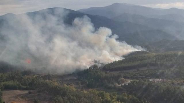 Kütahyada orman yangını çıktı