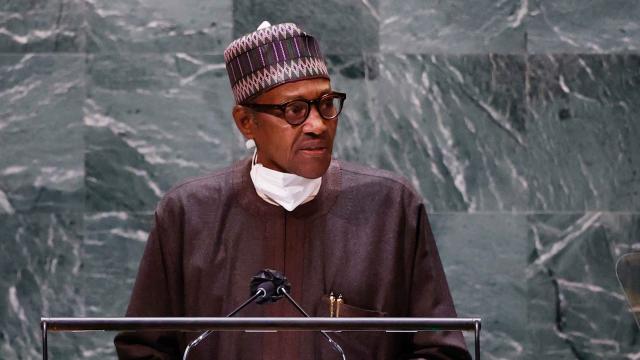 Nijerya Başkanı Buhari: Libyada istikrarsızlık Afrikada silahları yayıyor