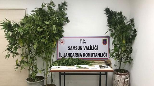 Samsunda uyuşturucu operasyonları: 15 gözaltı