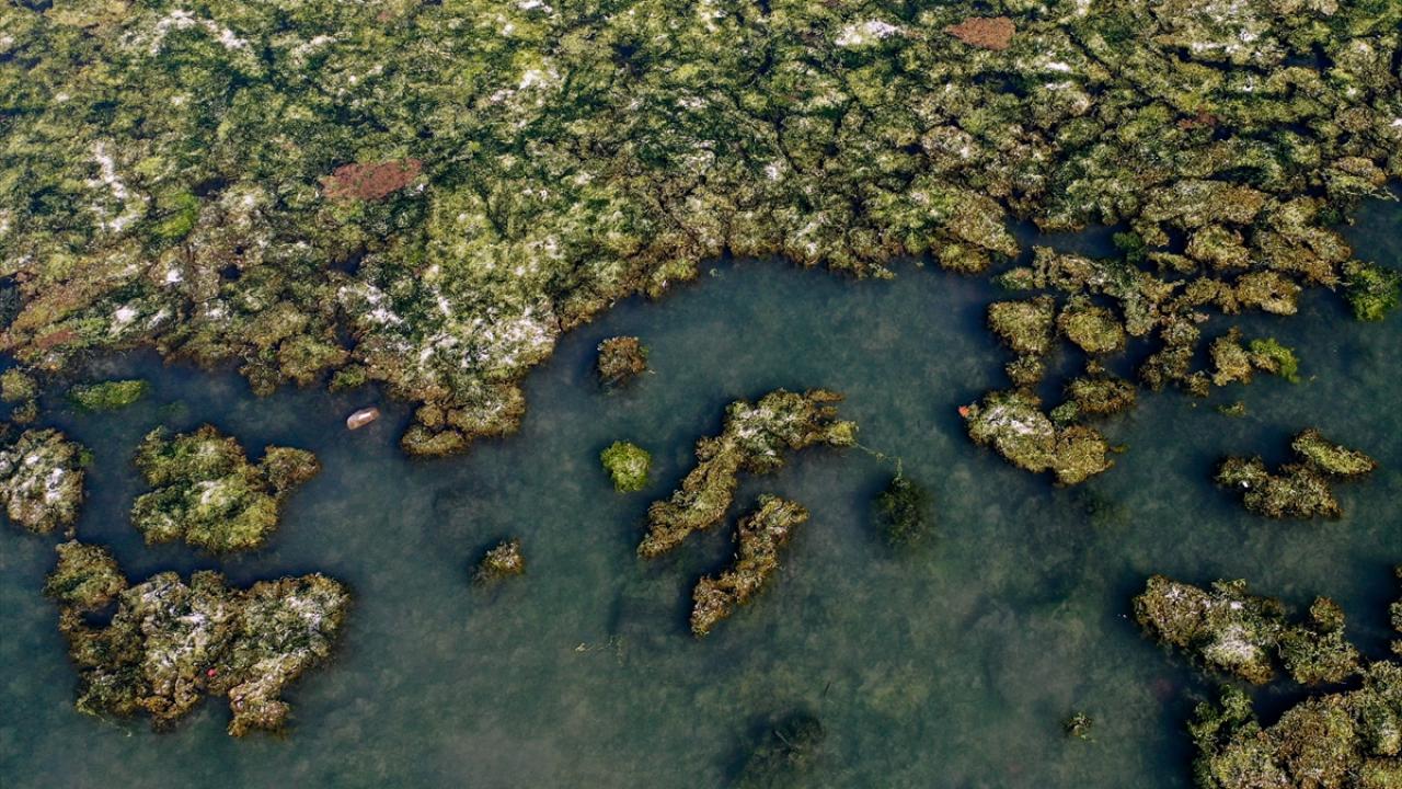 "Arkasından müsilaj gelecek"