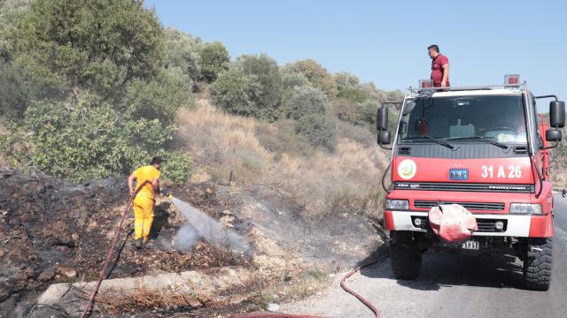 Hatayda zeytinlik alanda çıkan yangın söndürüldü
