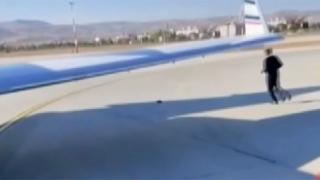 Pilotun dikkati kaplumbağanın hayatını kurtardı: İşte o anlar